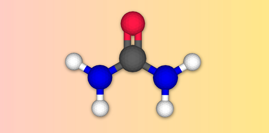 molekula urey