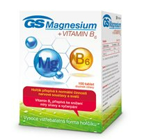 GS Magnesium + vitamin B6