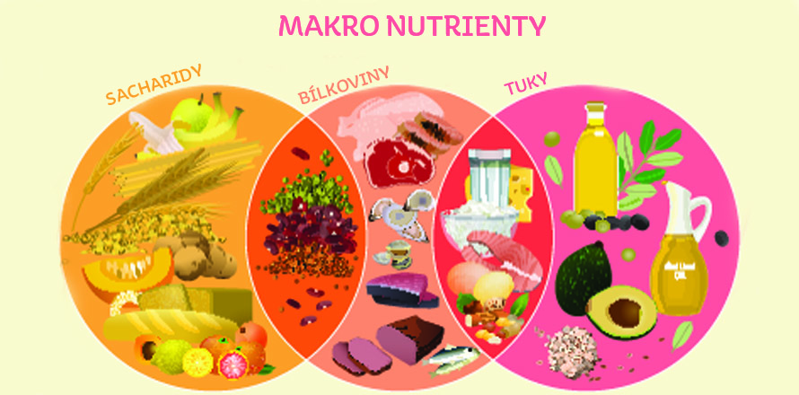 makro nutrienty