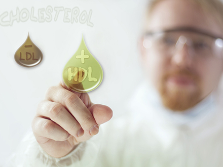 jak snížit cholesterol - HDL cholesterol