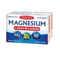 TEREZIA Magnesium + vitamin B6 a meduňka